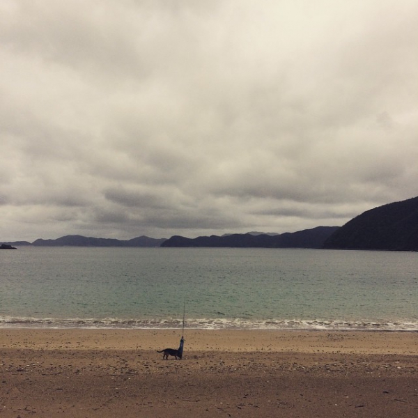 奄美大島加計呂麻島の風景