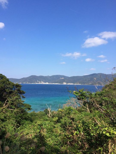 奄美大島加計呂麻島の風景