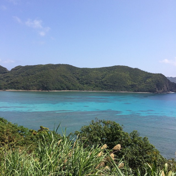 奄美大島加計呂麻島の風景