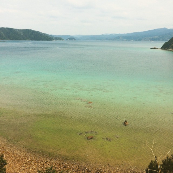 奄美大島加計呂麻島の風景