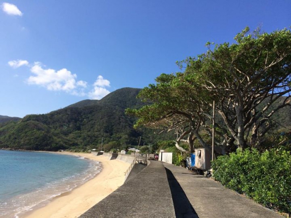 奄美大島加計呂麻島の風景