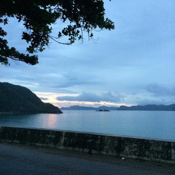 奄美大島加計呂麻島の風景