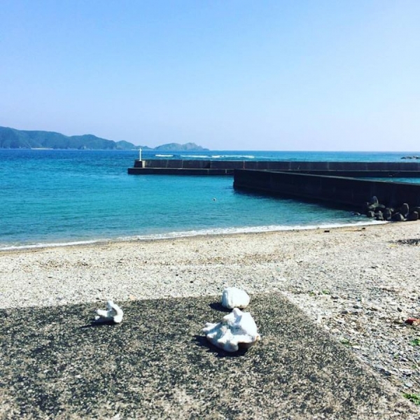 奄美大島加計呂麻島の風景