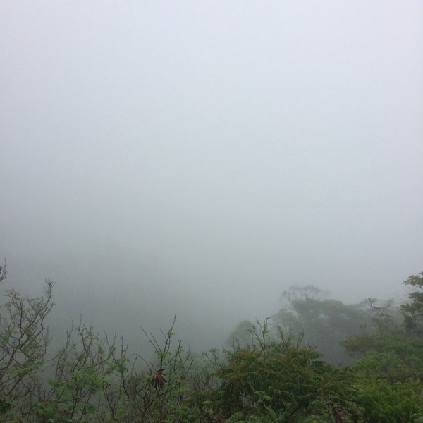 奄美大島加計呂麻島の風景