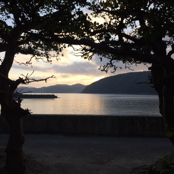 奄美大島加計呂麻島の風景