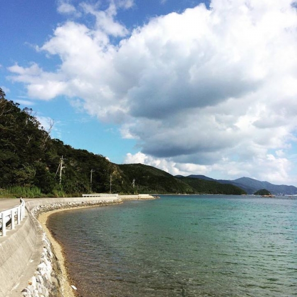 奄美大島加計呂麻島の風景