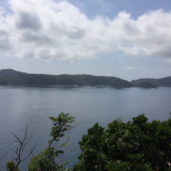 奄美大島加計呂麻島の風景