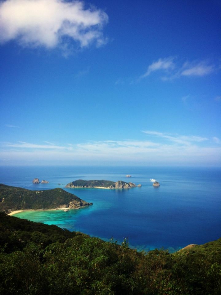 奄美大島加計呂麻島の風景