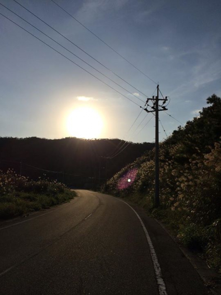 奄美大島加計呂麻島の風景