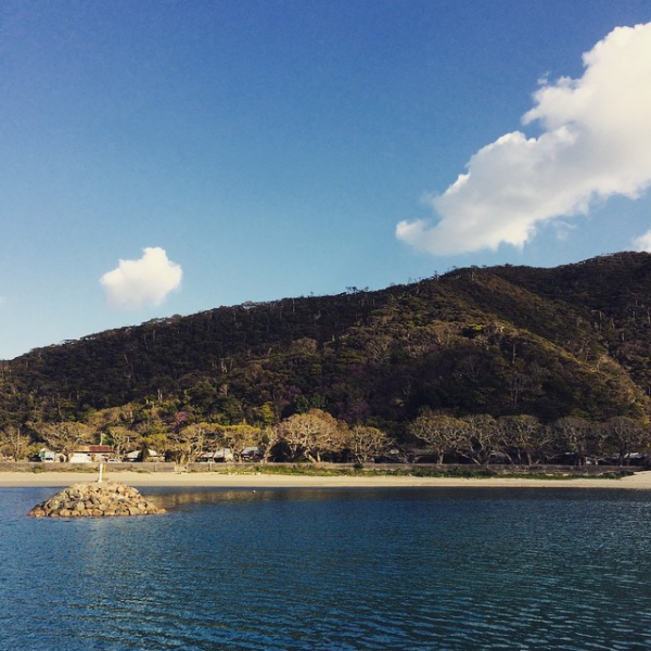 奄美大島加計呂麻島の風景