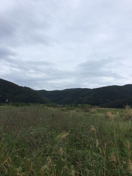 奄美大島加計呂麻島の風景