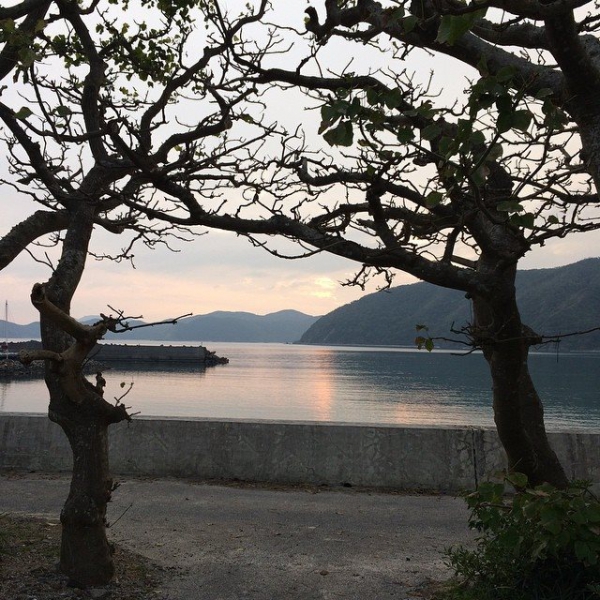 奄美大島加計呂麻島の風景