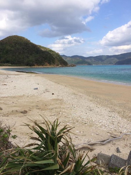 奄美大島加計呂麻島の風景