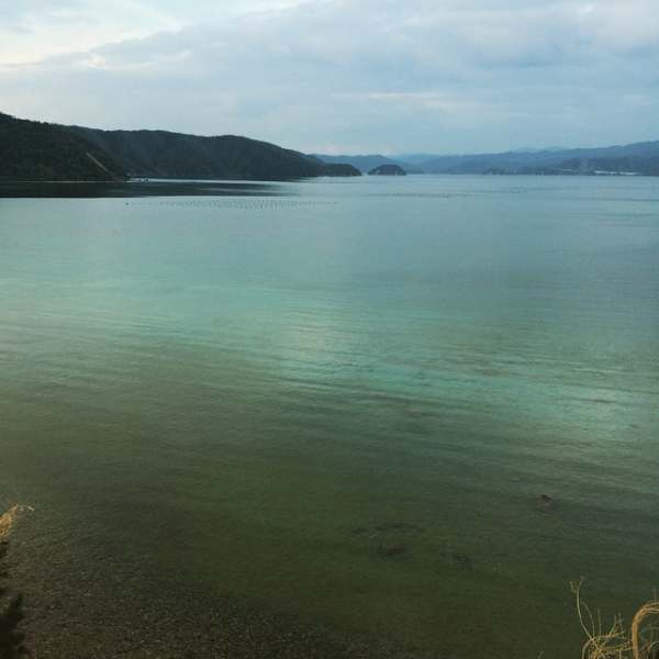 奄美大島加計呂麻島の風景