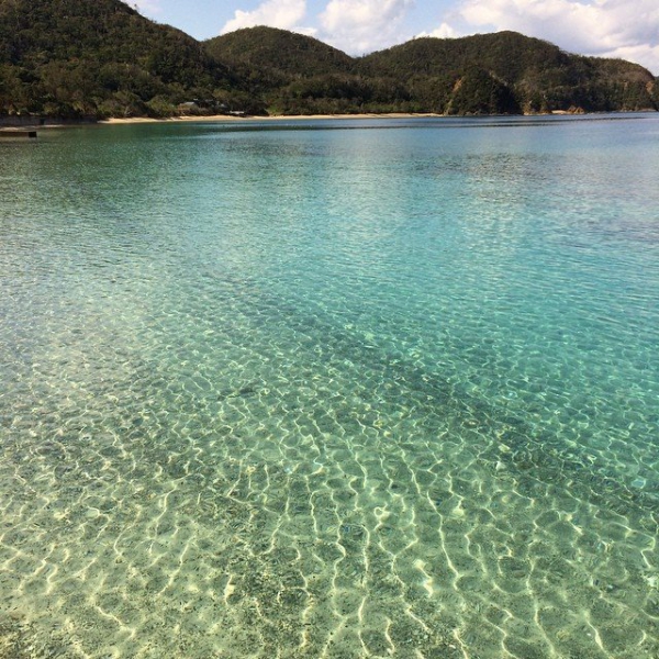 奄美大島加計呂麻島の風景