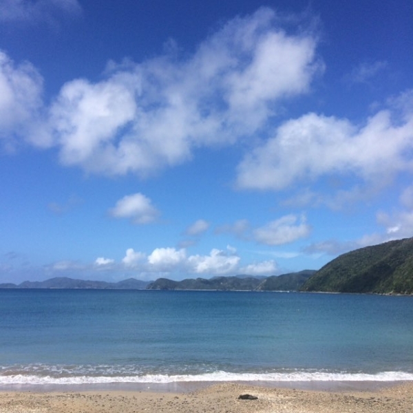 奄美大島加計呂麻島の風景