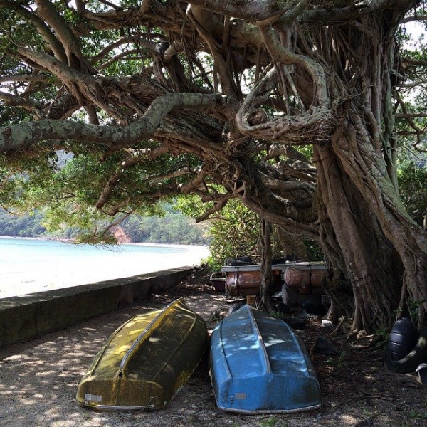 奄美大島加計呂麻島の風景