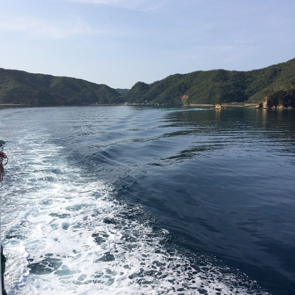 奄美大島加計呂麻島の風景