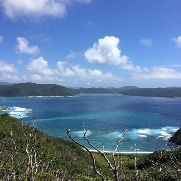 奄美大島加計呂麻島の風景