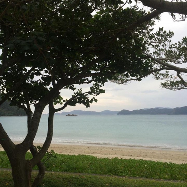 奄美大島加計呂麻島の風景