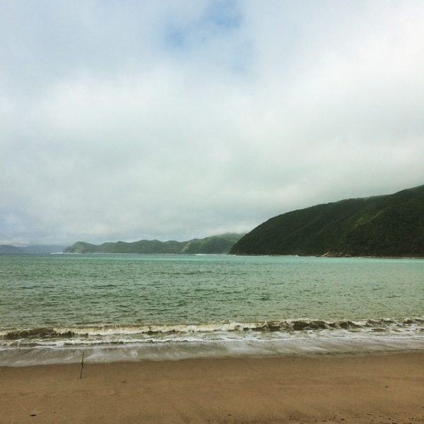 奄美大島加計呂麻島の風景