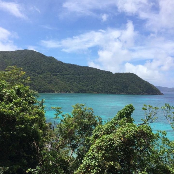 奄美大島加計呂麻島の風景