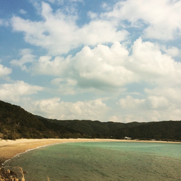 奄美大島加計呂麻島の風景