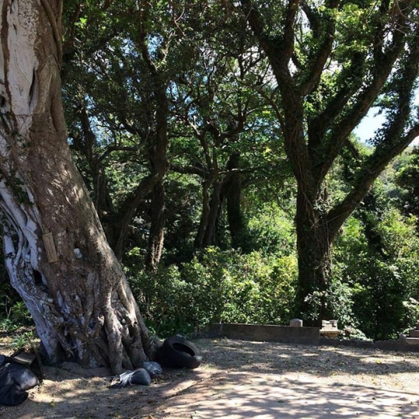 奄美大島加計呂麻島の風景