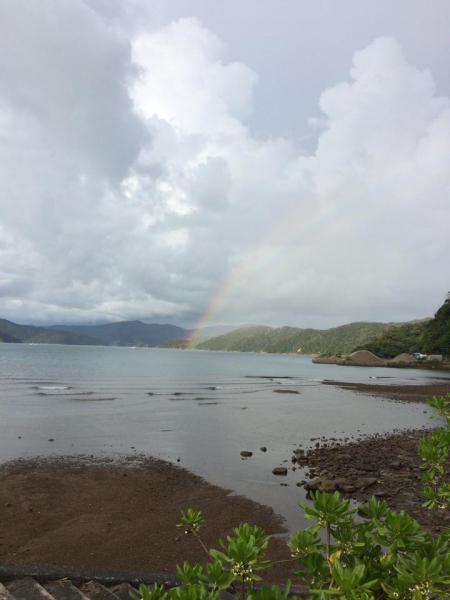 奄美大島加計呂麻島の風景