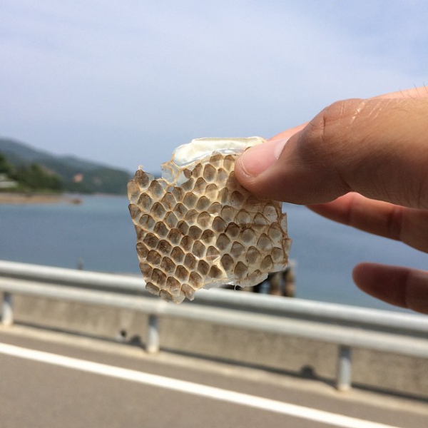 奄美大島加計呂麻島の風景