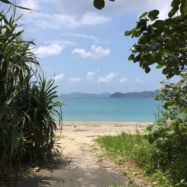 奄美大島加計呂麻島の風景