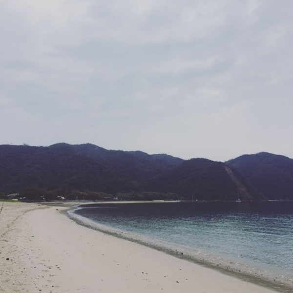 奄美大島加計呂麻島の風景