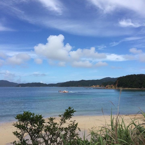 奄美大島加計呂麻島の風景