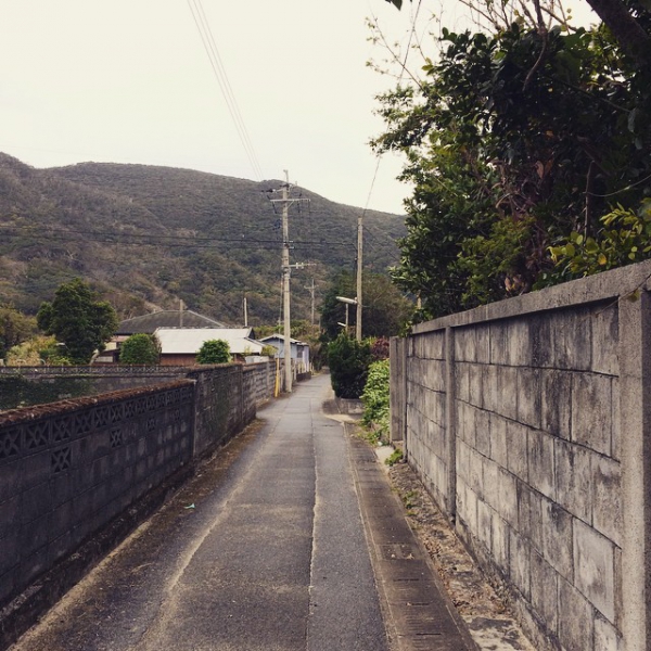 奄美大島加計呂麻島の風景