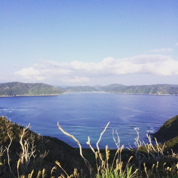 奄美大島加計呂麻島の風景