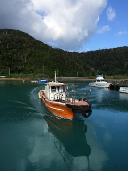 奄美大島加計呂麻島の風景