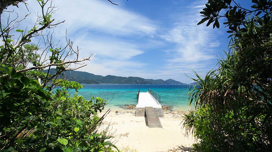 加計 呂 麻島