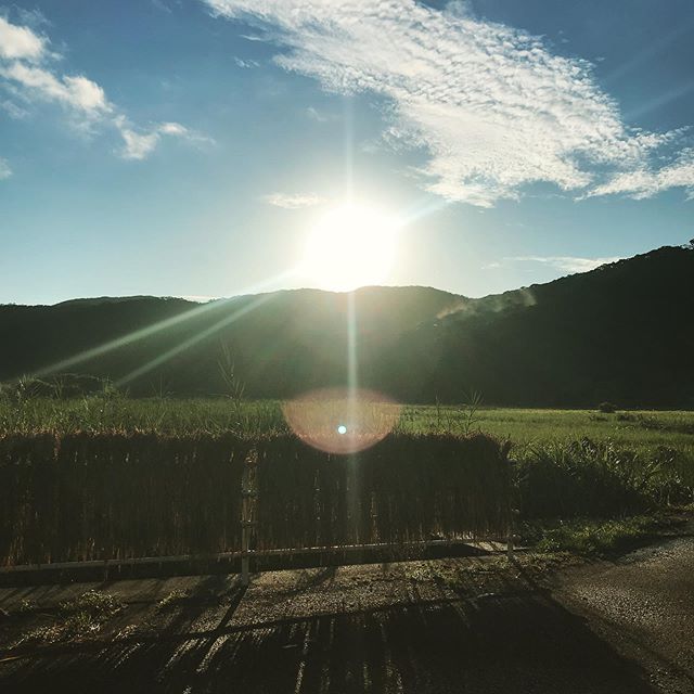 今日の加計呂麻島