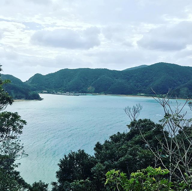 今日の加計呂麻島