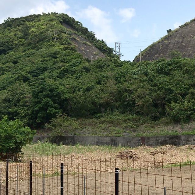 今日の加計呂麻島