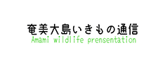 奄美大島いきもの通信